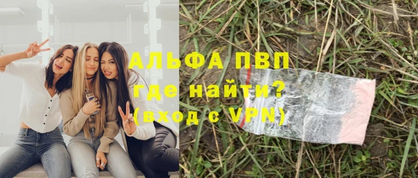 мет Алексин