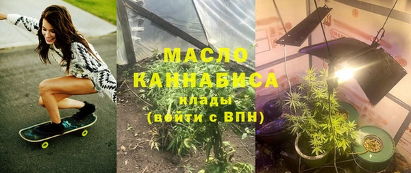 мет Алексин