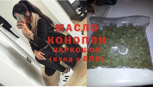 мет Алексин