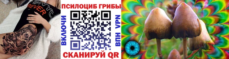 Галлюциногенные грибы Cubensis  Каменск-Уральский 